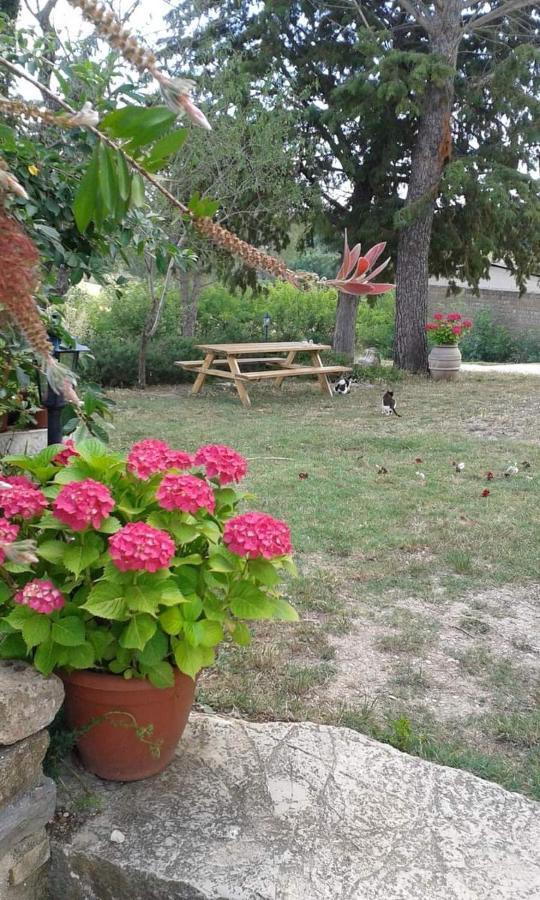 Monolocale Stiacce Apartment Saturnia Exterior foto